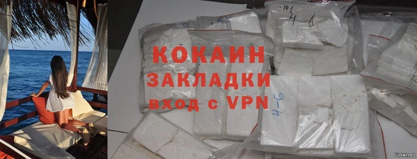 крисы Няндома