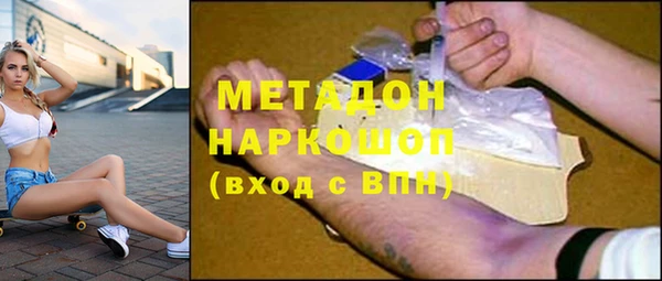 прущие грибы Алзамай