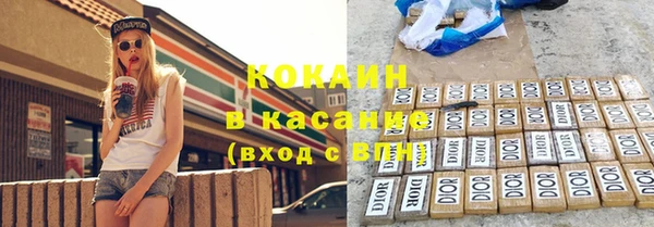 прущие грибы Алзамай