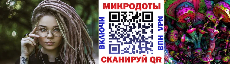 Псилоцибиновые грибы Psilocybine cubensis  Нефтекумск 