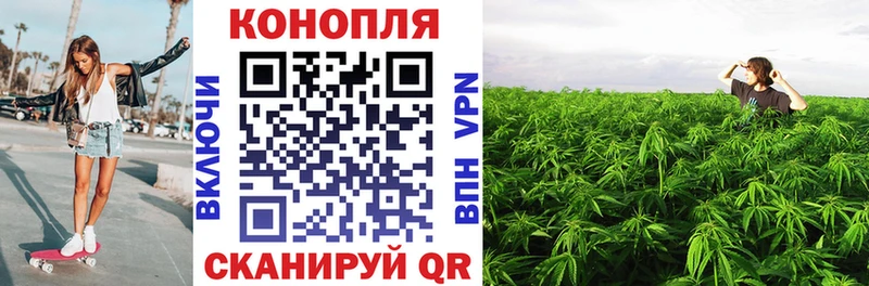 Каннабис конопля  купить закладку  Нефтекумск 